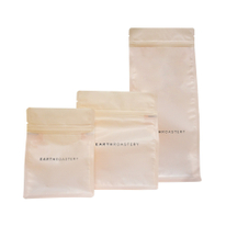 Factory Supply Uv Spot Apple Plastic Bag Kraft Barrier Bags Tortilla Bag