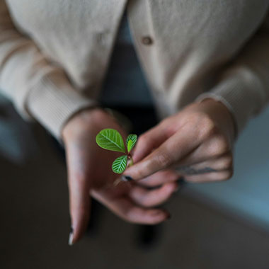 plant-based materials