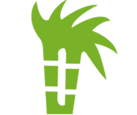 Bagasse – compostable sugarcane fiber