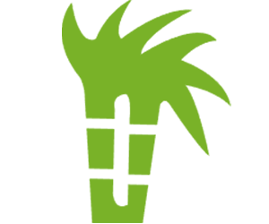 Bagasse – compostable sugarcane fiber