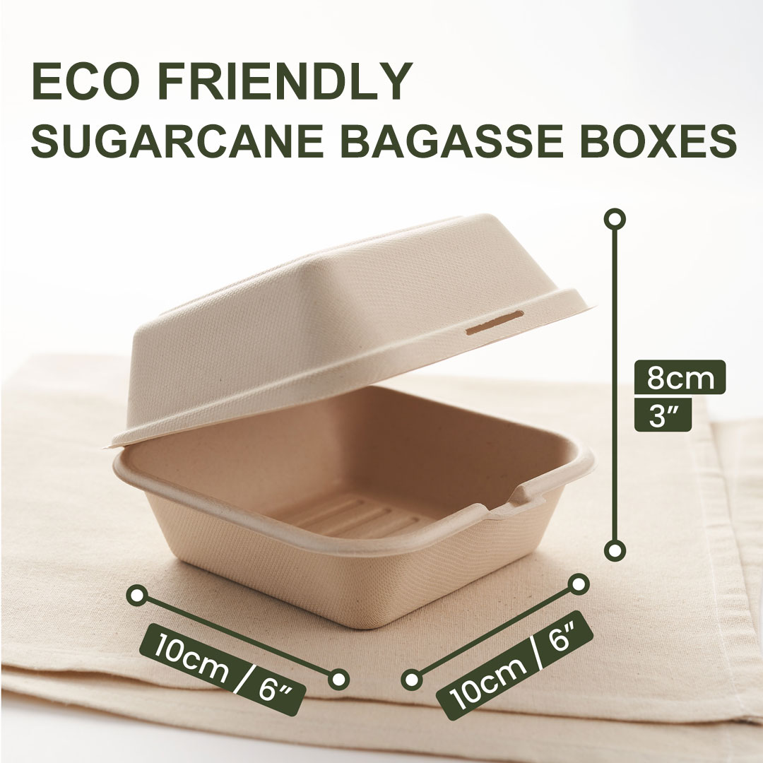 sugarcane bagasse packaging