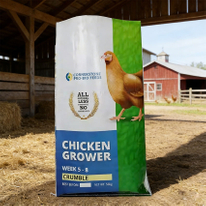 Custom Printed Bopp Packaging Bags