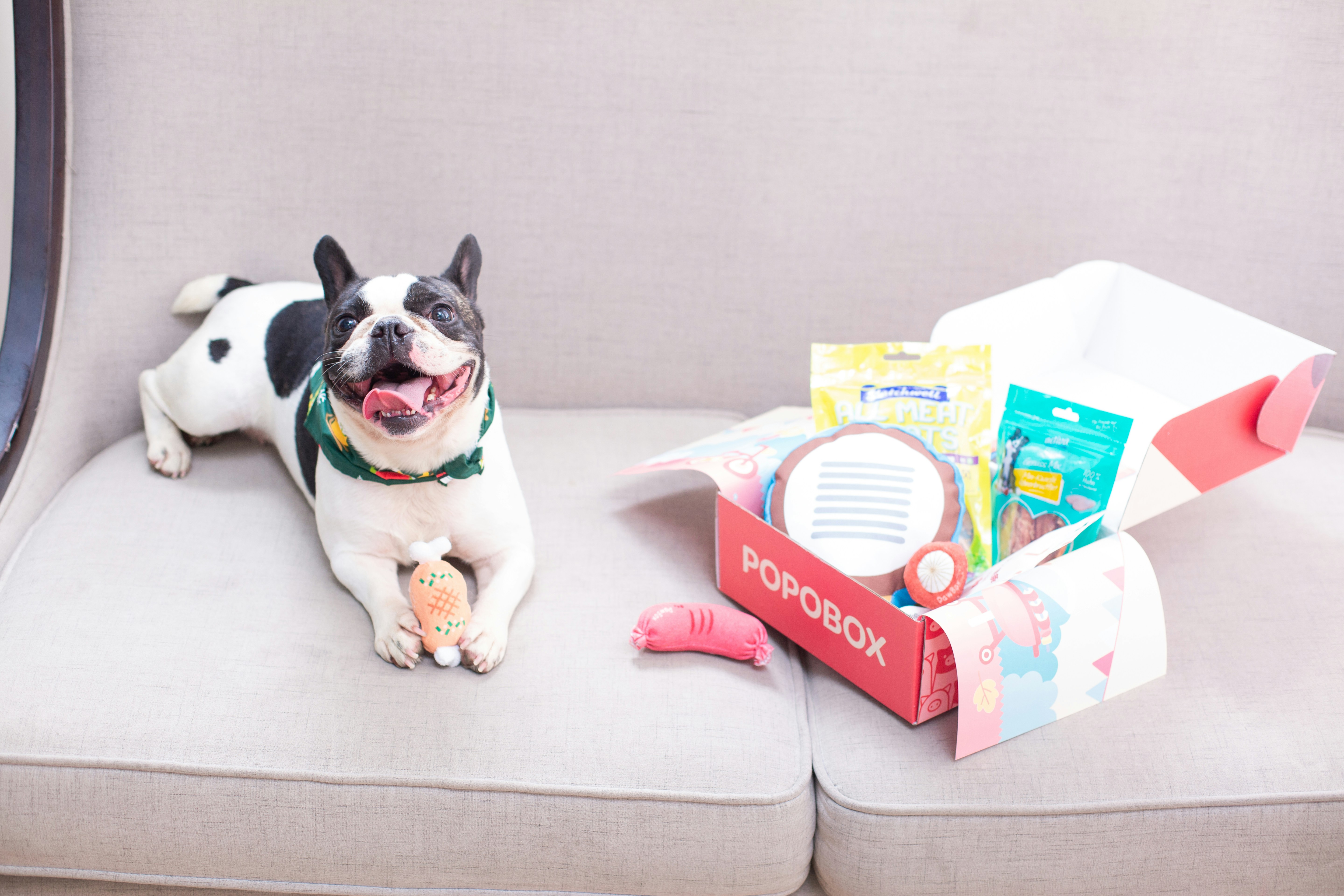 custom pet food packaging