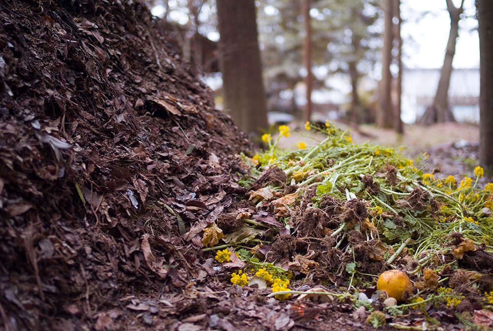 compostpile
