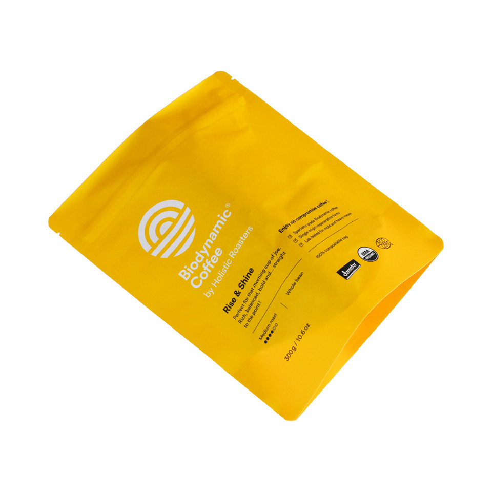 Biodegradable Materials Heat Seal Gravure Printing Colorful Top Quality Plastic Packaging Bags Manufacturers