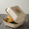 Biodegradable Sugarcane Bagasse Clamshell Lunch Box Takeaway