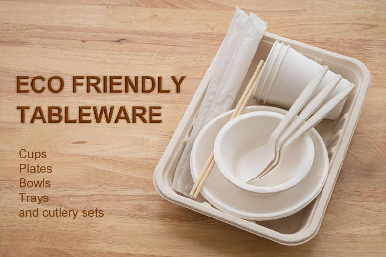 eco friendly disposable tableware