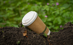 biodegradable-and-compostable--packaging.jpg