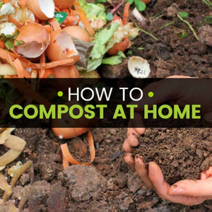 Home-compost.jpg