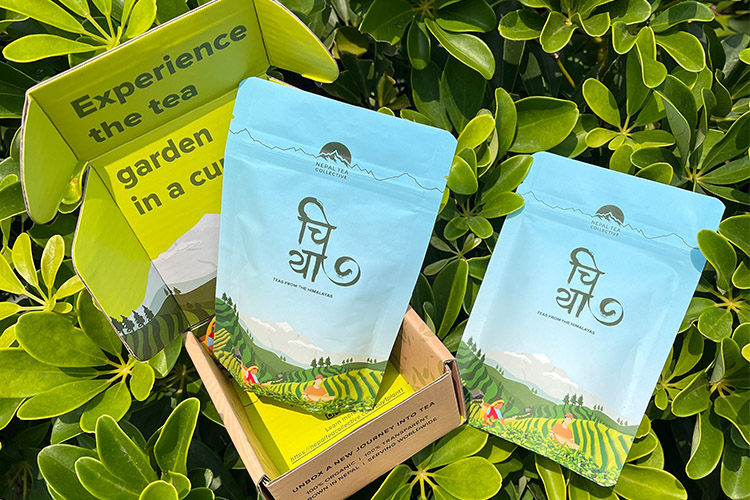 custom tea bag packaging