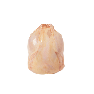 Hot sale food safe barrier heat sealed airtight biodegradable chicken shrink bags