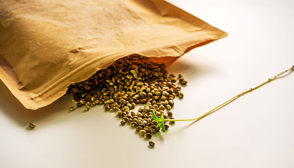 eco-friendly stand up pouch.jpg