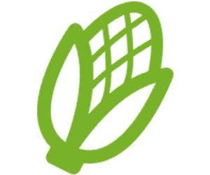 PLA – plant-based and heat-resistant