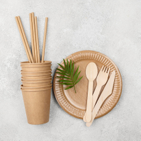 Disposable Compostable Tableware for Catering