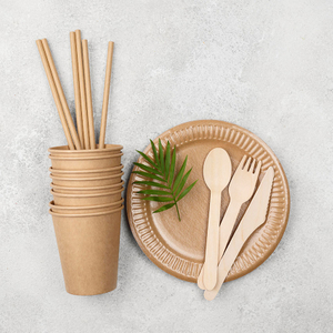 Disposable Compostable Tableware for Catering