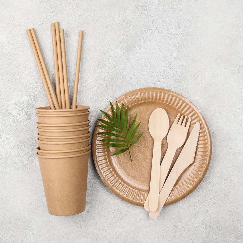 Disposable Compostable Tableware for Catering