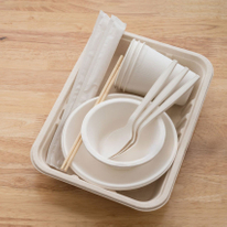 Eco Friendly Disposable Tableware Wholesale