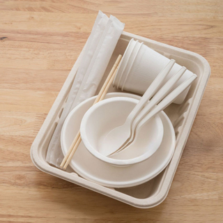 Eco Friendly Disposable Tableware Wholesale