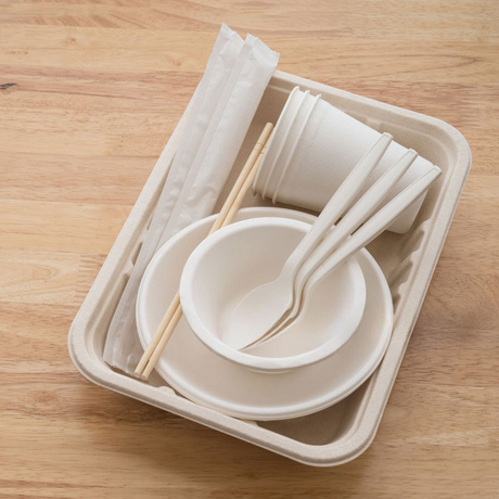 Eco Friendly Disposable Tableware Wholesale