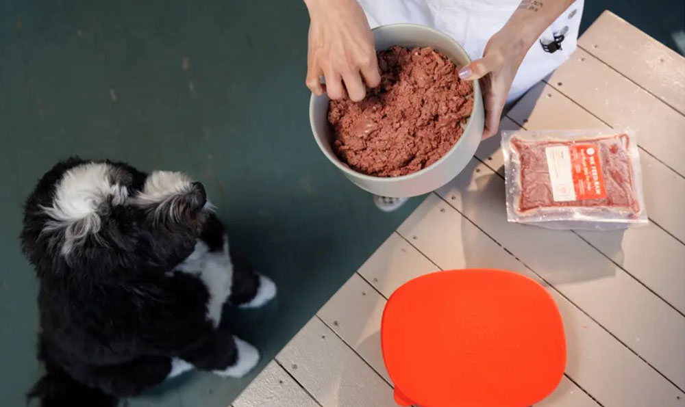 retort pouch for pet-food