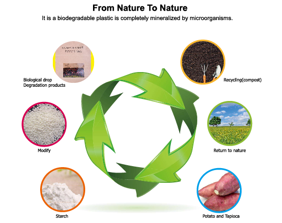 bolsa biodegradável compostável