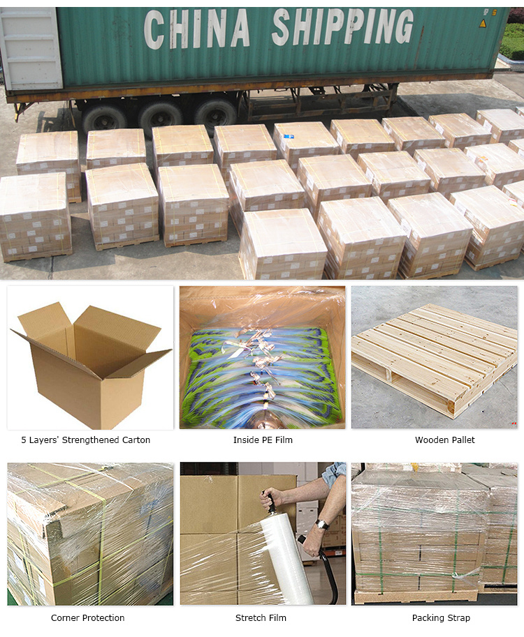 Custom Printed Block Bottom Compostable Zip Lock Bag Factory China