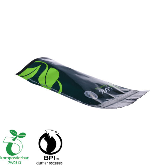 Gravure Printing Colorful Doypack Biodegradable Mylar Bag Manufacturer in China