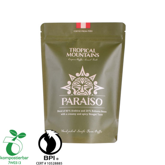 Whey Protein Powder Packaging Biodegradable Custom Printed Bean Bag Factory China