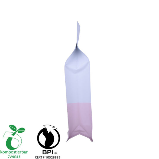 Eco Friendly Block Bottom Plastic Pouch with Spout Manufacturer China